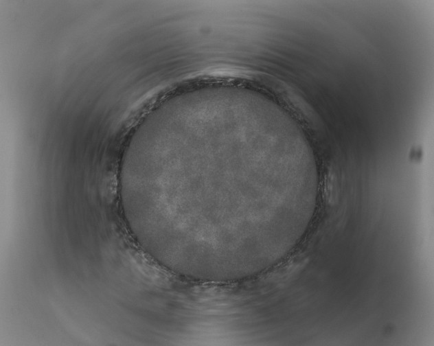 X0000111800821200908131434