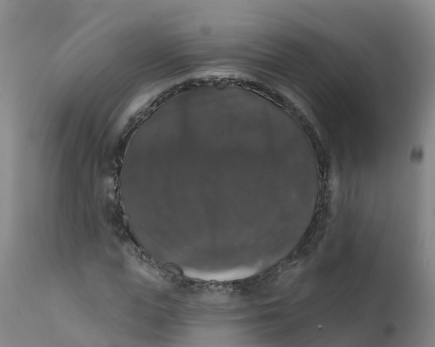 X0000111800823200908131434