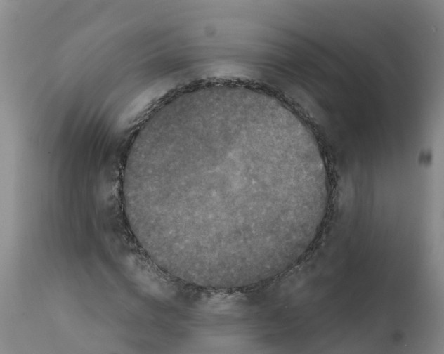 X0000111800824200908131434