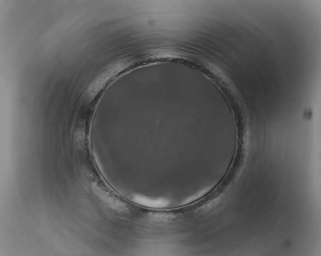 X0000111800825200908131434