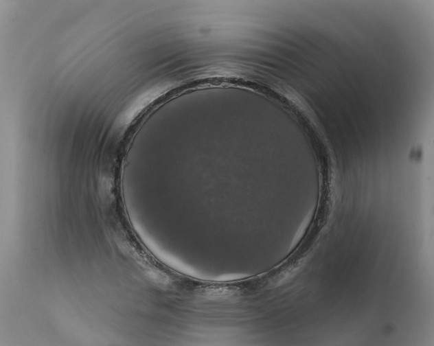 X0000111800826200908131434