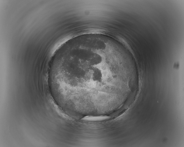 X0000111800827200908131434