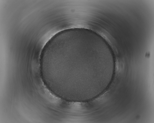 X0000111800828200908131434