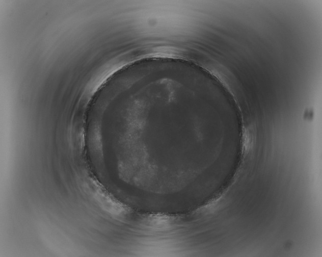 X0000111800829200908131434