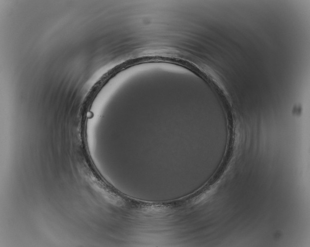 X0000111800830200908131434