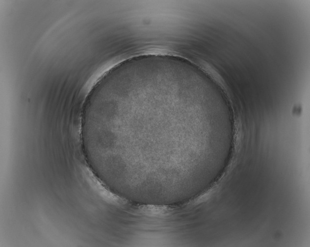 X0000111800831200908131434