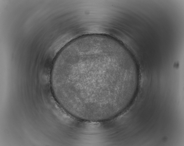 X0000111800833200908131434