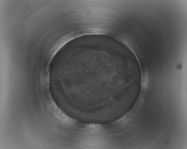 X0000111800835200908131434