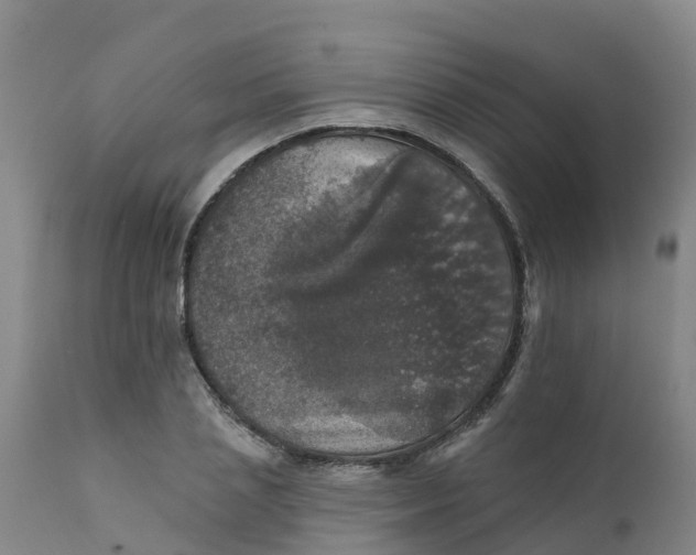 X0000111800837200908131434