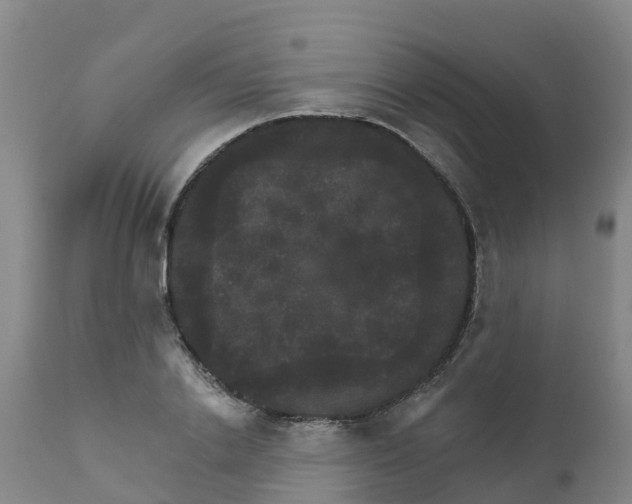 X0000111800838200908131434