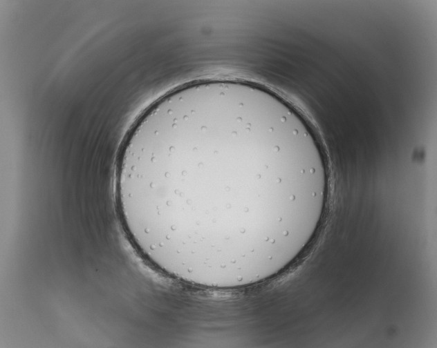 X0000111800839200908131434