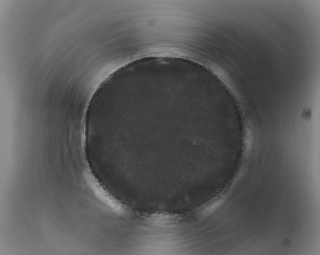 X0000111800840200908131434