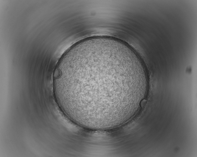 X0000111800842200908131434