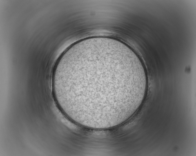 X0000111800843200908131434