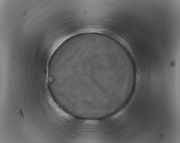 X0000111800844200908131434