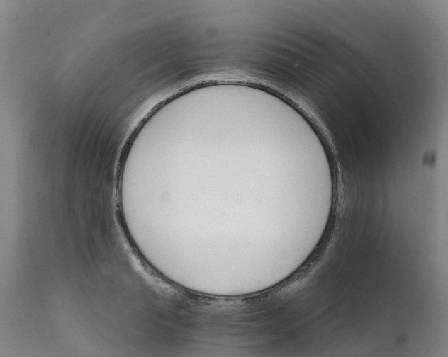 X0000111800845200908131434
