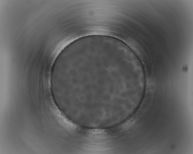 X0000111800846200908131434