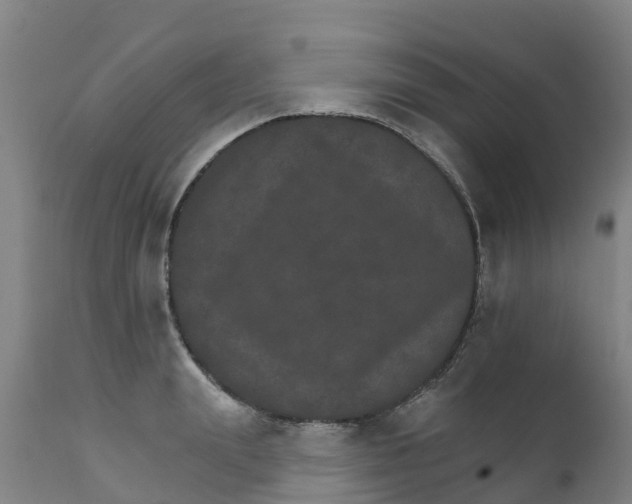 X0000111800847200908131434