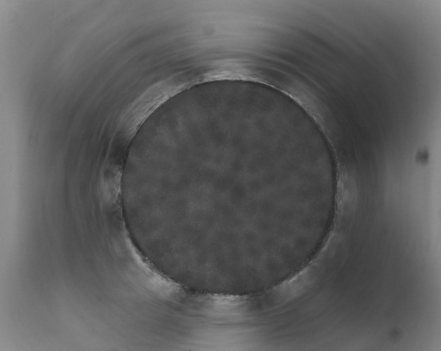 X0000111800849200908131434