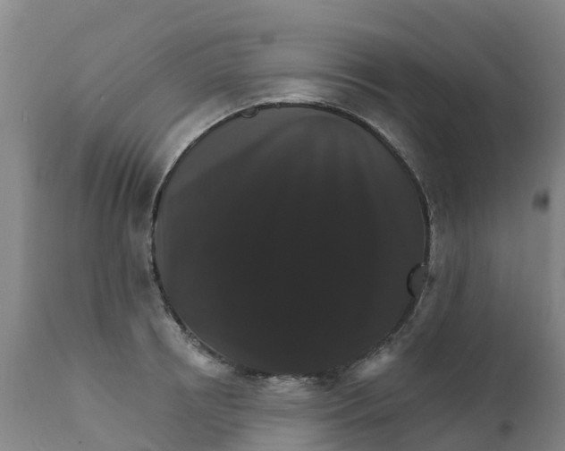 X0000111800850200908131434