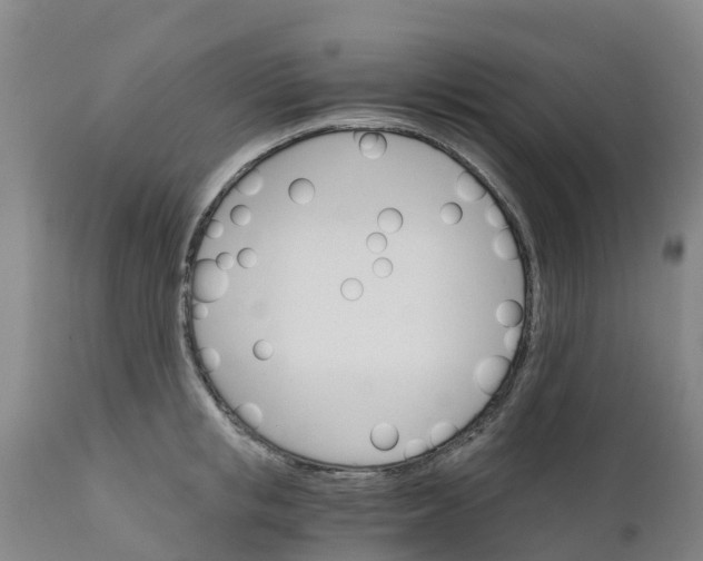 X0000111800853200908131434
