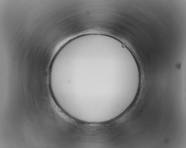 X0000111800854200908131434