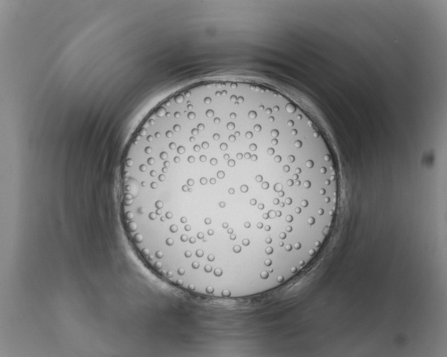 X0000111800855200908131434