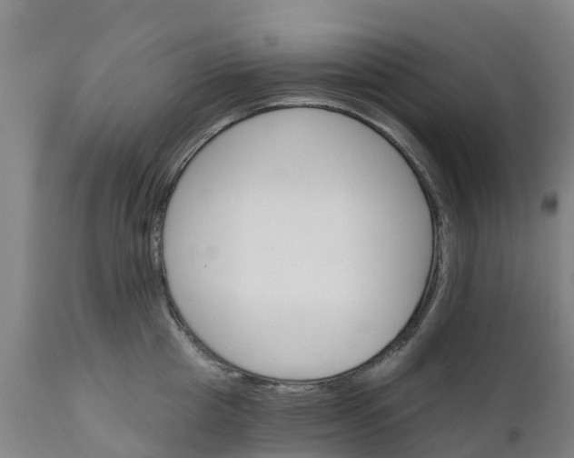 X0000111800857200908131434