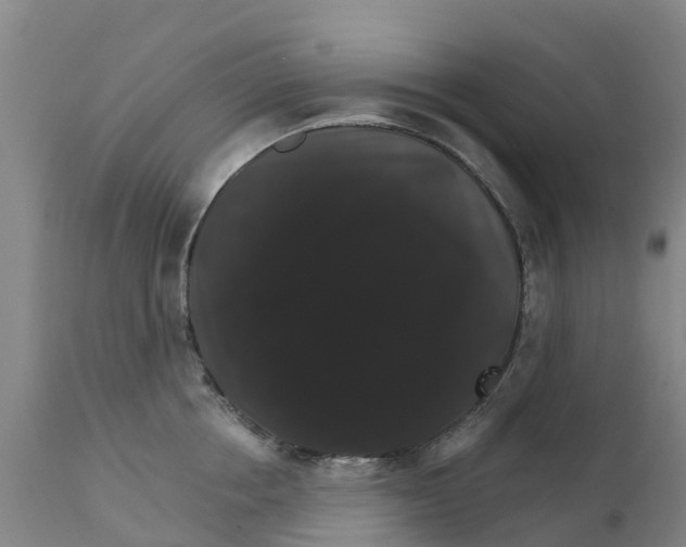X0000111800858200908131434