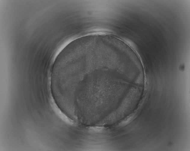 X0000111800859200908131434