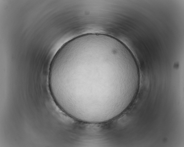 X0000111800861200908131434