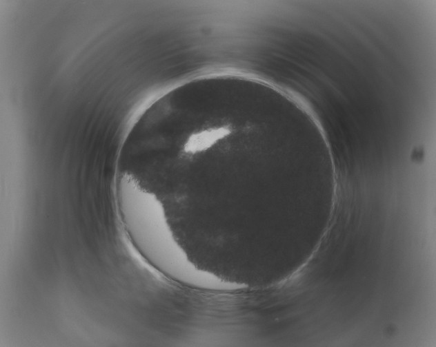 X0000111800863200908131434