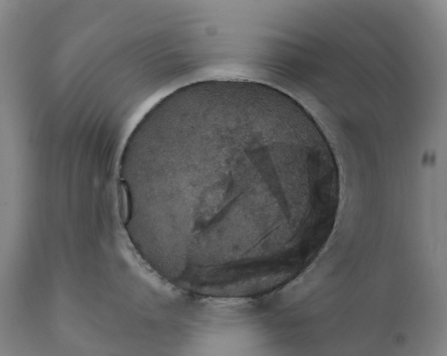 X0000111800864200908131434
