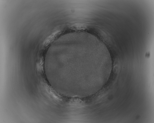 X0000111800866200908131433