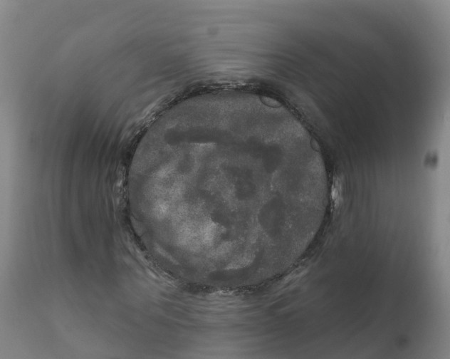 X0000111800867200908131433