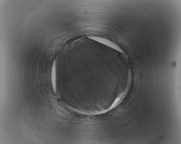 X0000111800868200908131433