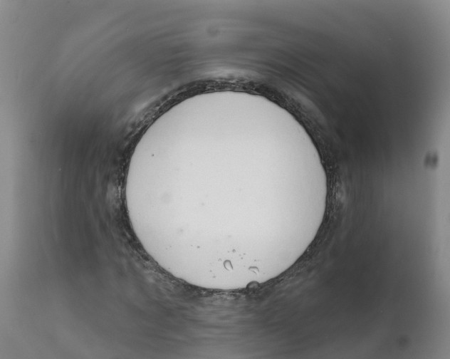 X0000111800869200908131433