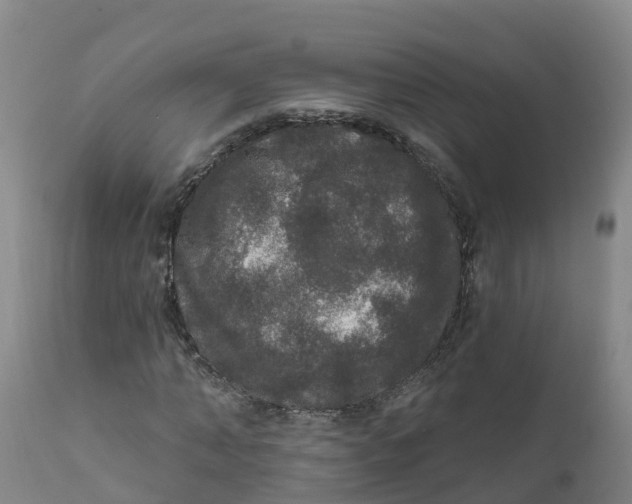 X0000111800870200908131433