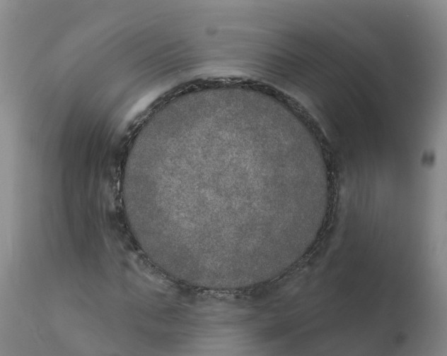 X0000111800871200908131433