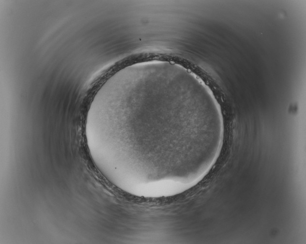 X0000111800872200908131433