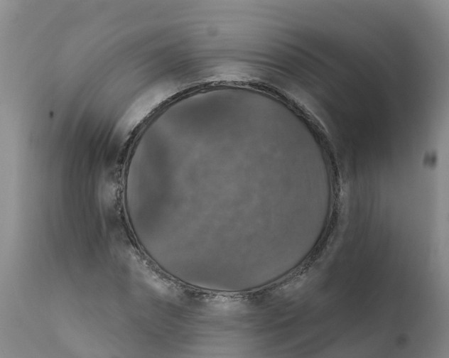 X0000111800874200908131433
