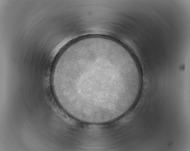 X0000111800875200908131433