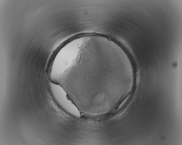 X0000111800876200908131433