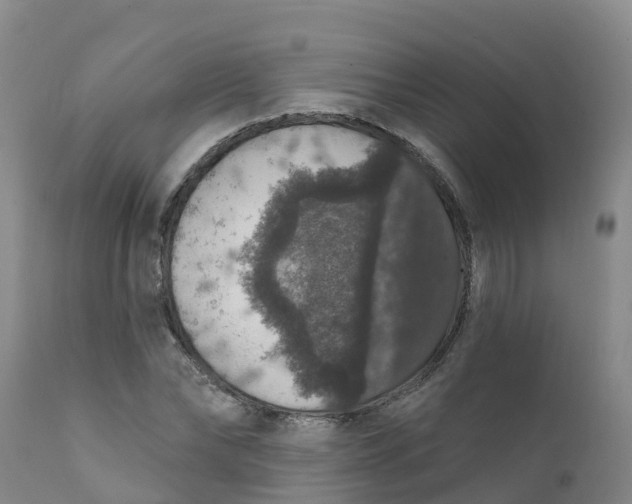X0000111800878200908131433