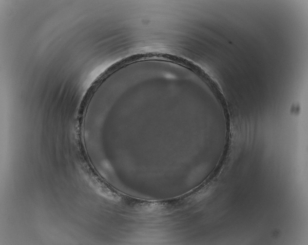 X0000111800879200908131433