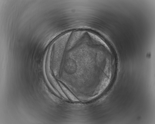 X0000111800881200908131433