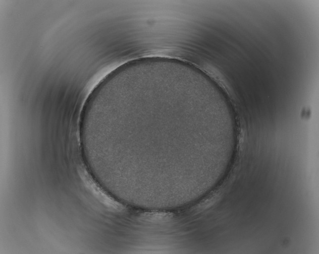 X0000111800884200908131433