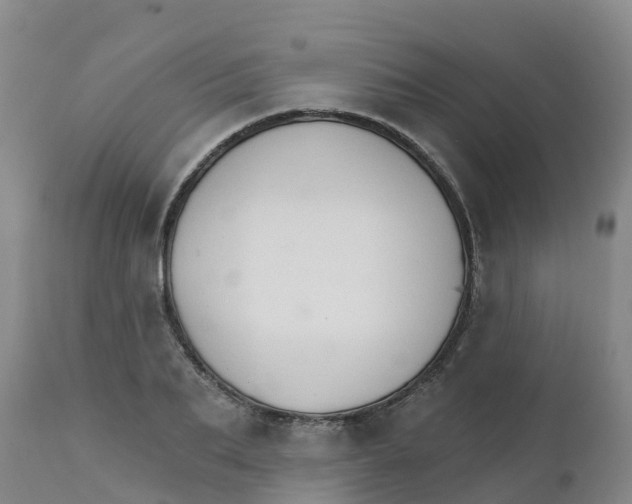 X0000111800887200908131433