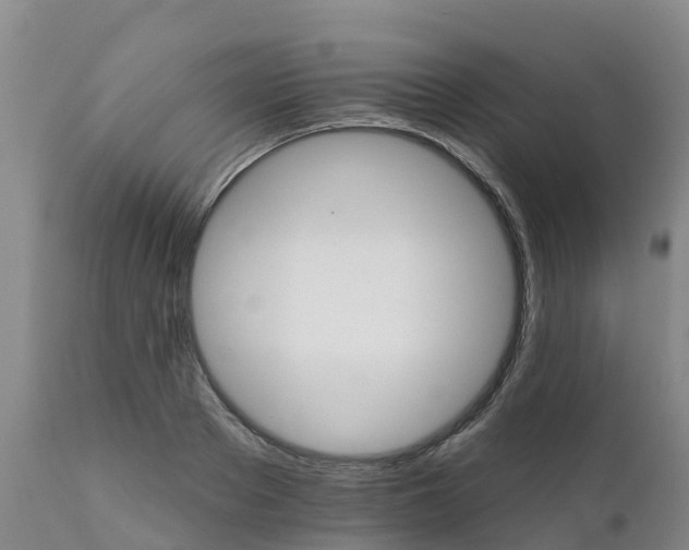 X0000111800889200908131433