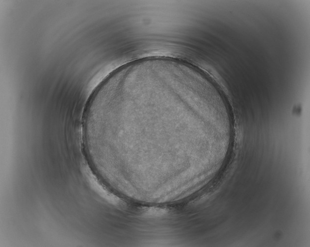 X0000111800890200908131433